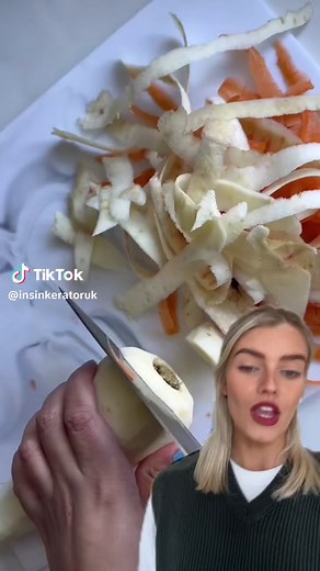 How Does an InSinkErator Food Waste Disposer Work? FAQs Answered!