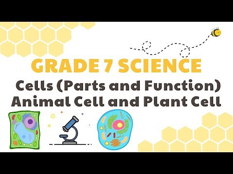Cells (Parts and Functions), Plant and Animal Cell | Grade 7 Science DepEd MELC Quarter 2 Module 4