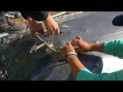 How to install and set up mulch