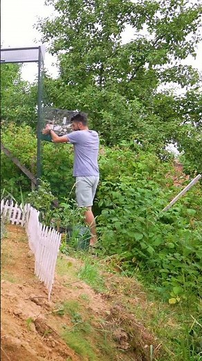 Finches Move In! Surviving First Night in New Aviary!