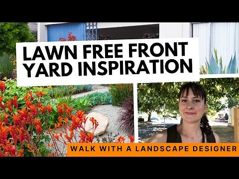 Finding Lawn Free Front Yard Inspiration 🪴 Walk with a landscape designer