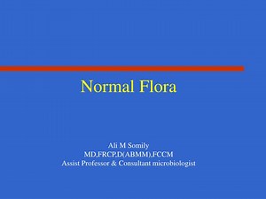 Normal Flora - SlideServe