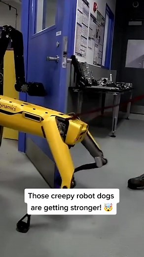 Boston Dynamics' robot dog Spot is getting more advanced as time goes on! 🤖#boston #robot #tech #innovation #dog