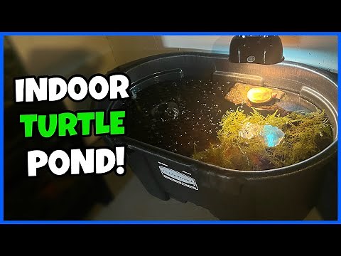 Setting Up 100 Gal. TURTLE POND!