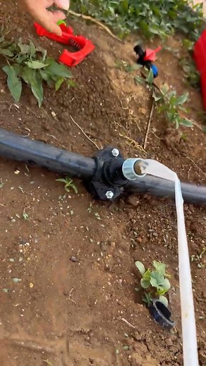 108K views · 787 reactions |  If you’re setting up drip irrigation,...