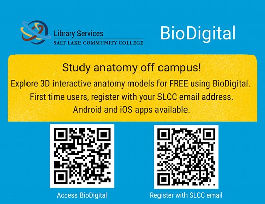 Study Tools - SLCC Anatomy