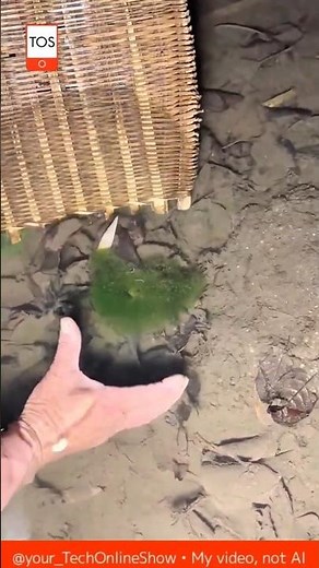 NIGHT FISH CATCH 😱 old-school hand fishing 🎣🌙🔥 #skills #crafts #shorts