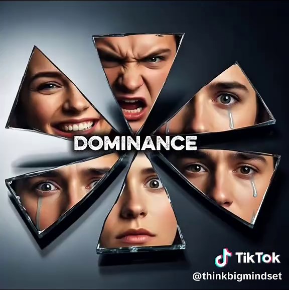 Understanding Male Behavior: Biology and Brain Differences