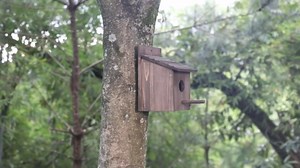 Weatherproof Bird House, Wooden Bird Houses for Outside with Pole, Durable Birdhouse for Finch, Bluebird, Cardinals, Hanging Birdhouse Garden Country Cottages