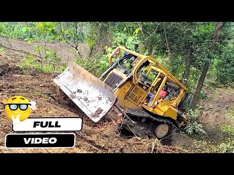 Amazing Operator Skills Dozer Leveling Dirt and Clearing The Bushes Into Plantation