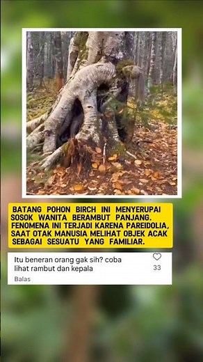 punya mata hidung bibir juga🗿