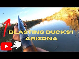 Waterfowl Hunting in Yuma Arizona | Duck Hunting Arizona #arizona #hunt #duckhunting