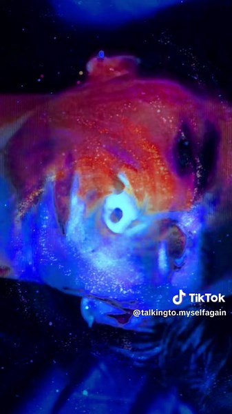 Reflections on Greg Araki's Teen Apocalypse Trilogy