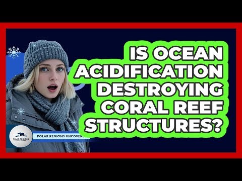 Is Ocean Acidification Destroying Coral Reef Structures?