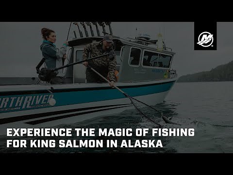 Experience the Magic of Fishing for King Salmon in Alaska