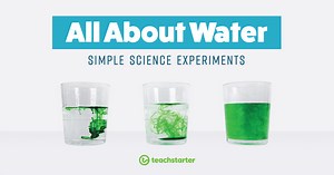 Water Experiments for Kids That Are a Big Hit in the Classroom