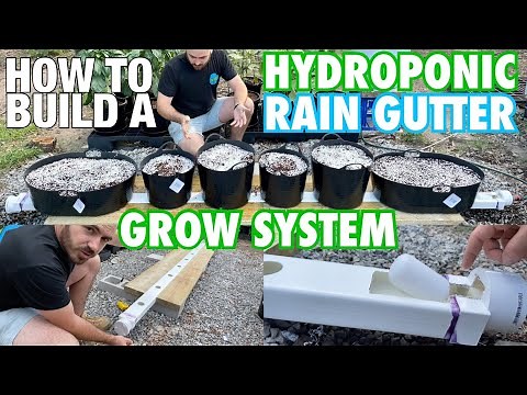How to Build a Hydroponic Rain Gutter Grow System
