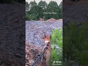 What's your name Tony(best version) | Tony and Ezekiel