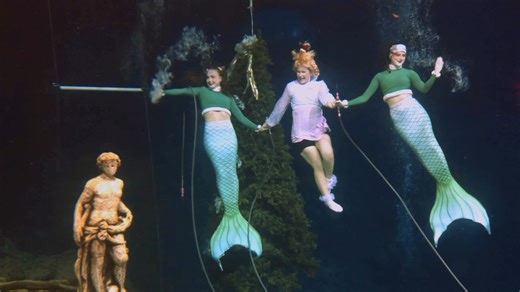 🎄✨ Join us for Winter Waterland at Weeki Wachee Springs State Park — presented by the Friends of Weeki Wachee Springs State Park! 🗓️ Dates: December 12–13 & December 19–20 ⏰ Time: 6:00 PM – 10:00 PM Expect festive lights, underwater mermaid shows, a Grinch Village, Santa photos, a live nativity, carnival games, and even a water sleigh ride along the Weeki Wachee River! 🎟️ Tickets only available through Eventbrite — grab yours now ➤ https://www.eventbrite.com/e/2025-winter-waterland-at-weeki-w