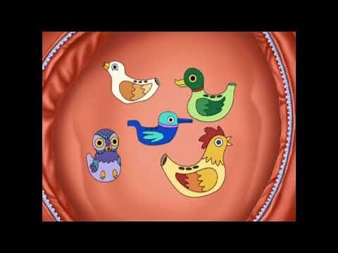 Sleeping Trees | Dora the Explorer