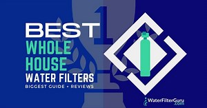 6 Best Whole House Water Filter Systems of 2025