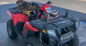 15 ATV Attachments: What They Do and Recommended Products