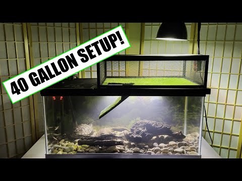 40 Gallon Starter Turtle Tank Setup - Everything You Need For Your Turtle