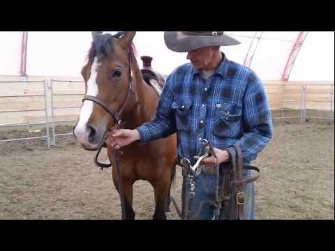 The snaffle and curb bit an explination of bits