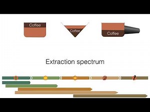 Training Video: Coffee Brewing Methods Overview