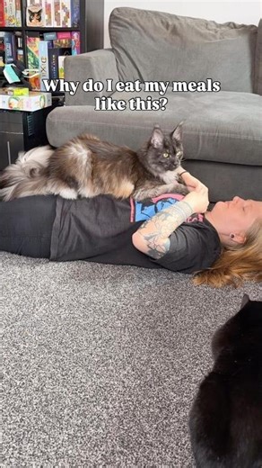 Service cat life 🫡