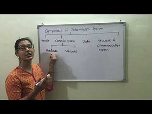 Components of Information System