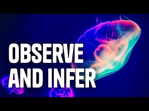 Observations and Inferences