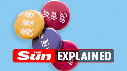 Meaning of she/her and he/him explained: Why do people share their pronouns?