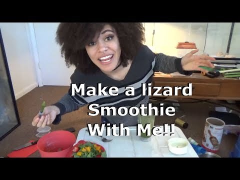 How to Make a Slurry for Bearded Dragons