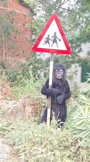 Story of a Ram devotee 🚩🙏🏼 || Jai Shri Ram || Ram Navam || Ram ji status #shorts #ram