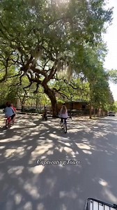 Plan your visit to historic Savannah today, filled with iconic historical sights, scenic squares, and breathtaking local shops. | Visit Savannah
