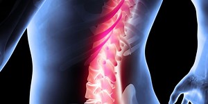 Back to Life System | 2021 Complete Back to Life Program Review Emily Lark