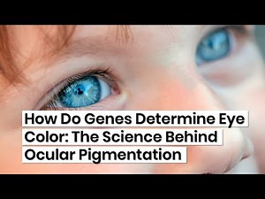How Do Genes Determine Eye Color: The Genetics Behind Your Unique Look