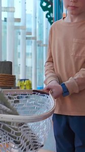 ✨ Let imaginations run wild at the Creative Discovery Museum! Dive into adventure, where kids can explore, learn, and make a splash in a world of fun. Perfect for hands-on family adventures!   Plan your visit today and discover why it's the ultimate family destination. | Creative Discovery Museum | Facebook