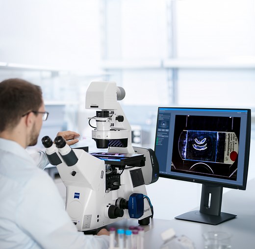 ZEISS AI Sample Finder: Automated sample identification for efficient imaging