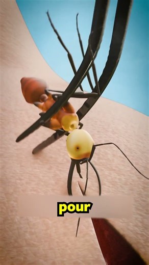 How to treat a wound with an ant 🫨!