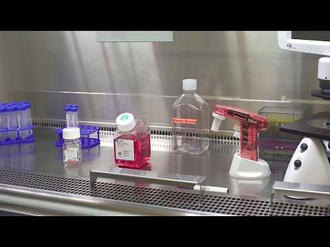 Aseptic Techniques Explained: Essential Tips to Prevent Contamination