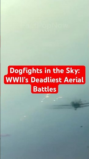Dogfights in the Sky: WWII's Deadliest Aerial Battles