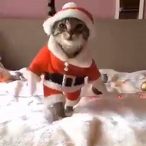 312 reactions · 140 shares | Videos on Reels | Facebook