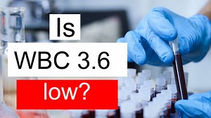 Is WBC 3.6 low, normal or dangerous? What does White blood cell count level 3.6 mean?