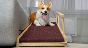 10 Great DIY Projects For Dogs: Making Fido Feel at Home - Canine Journal