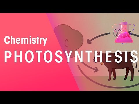 Photosynthesis & Respiration | Reactions | Chemistry | FuseSchool