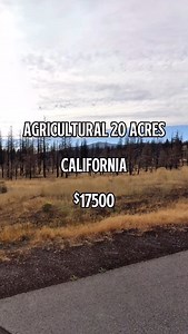 Agricultural 20 Acres for sale in Northern California for $17,500. #realestate #property #land #forsale #fyp #sale #realestateinvesting #foryou #sale #landforsale #realtor #viralreels #california #cali #californiarealestate #californialiving | LandSupplier.com