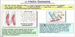 Structural features of alpha helix