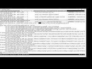 java.lang.reflect.InvocationTargetException